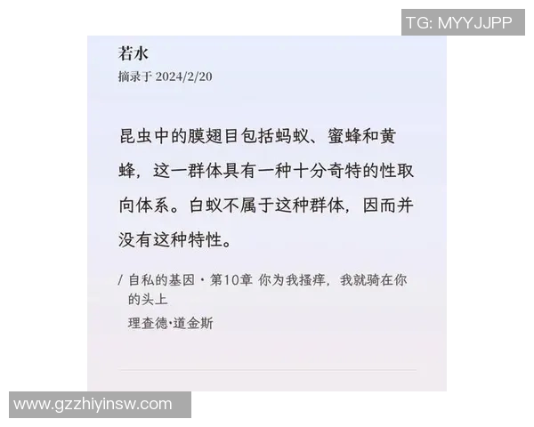 日蜂与黄蜂的生态对比与生存策略探讨 日蜂与黄蜂的生态对比与生存策略探讨